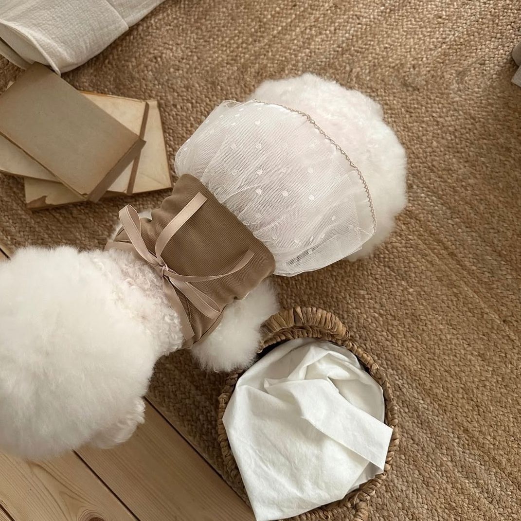 Vestido de Renda para Animais  - Lace Teddy Lingerie avaliação e preço