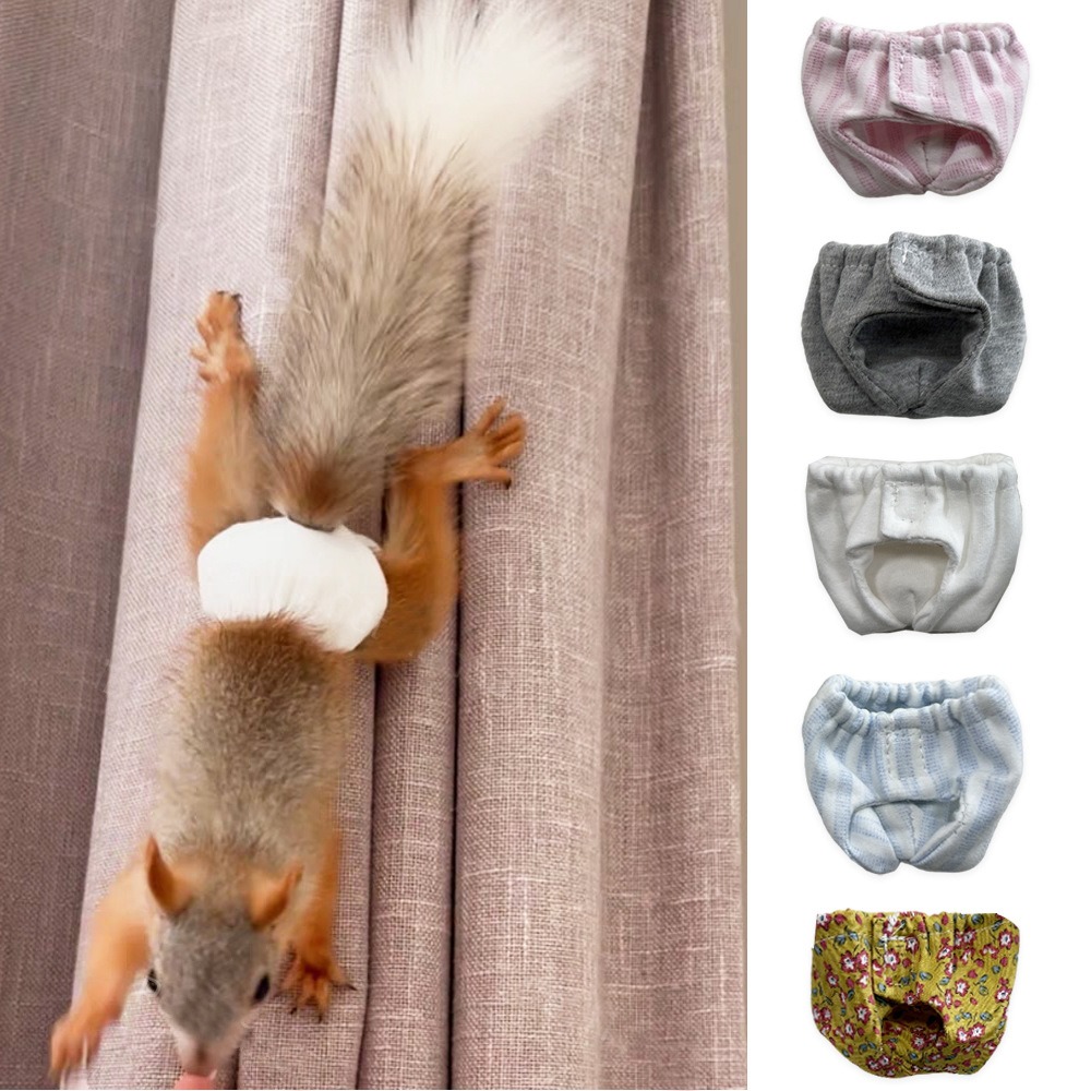 Fraldas Absorventes para Esqui - Period Panty Absorbent avaliação e preço